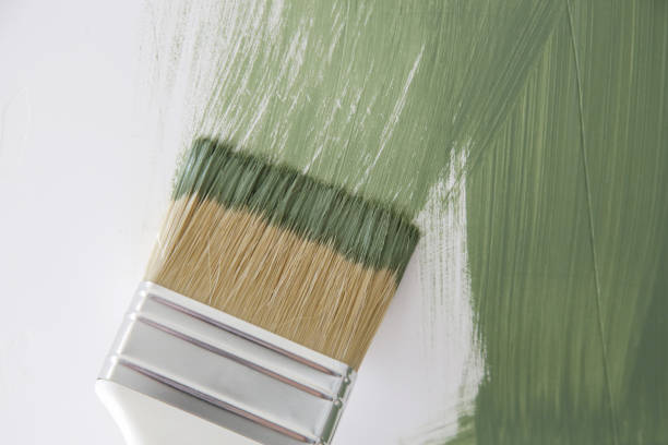 Best Black Mold Removal  in Opp, AL