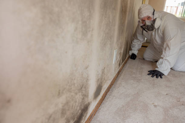 Best Post-Remediation Verification Testing  in Opp, AL